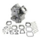 Shortblock Briggs et Stratton - 496241