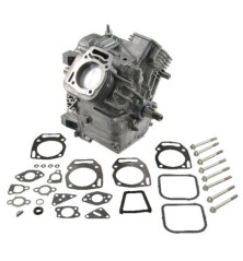 Bloque corto Briggs y Stratton - 496241 2