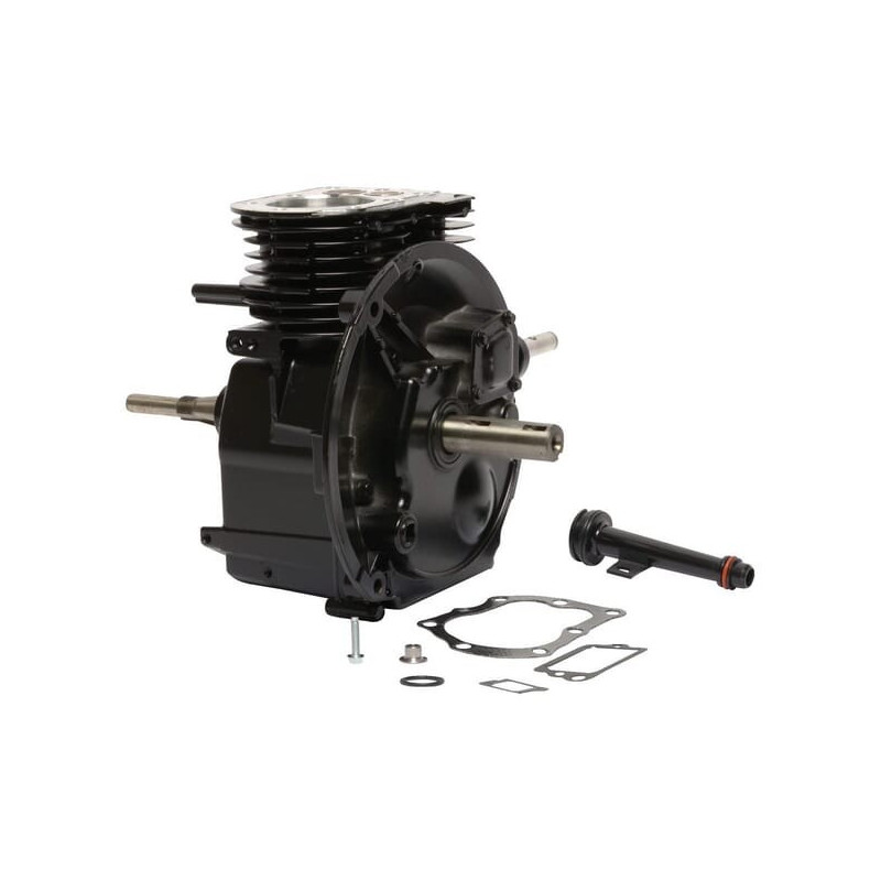Bloque corto Briggs y Stratton - 398215
