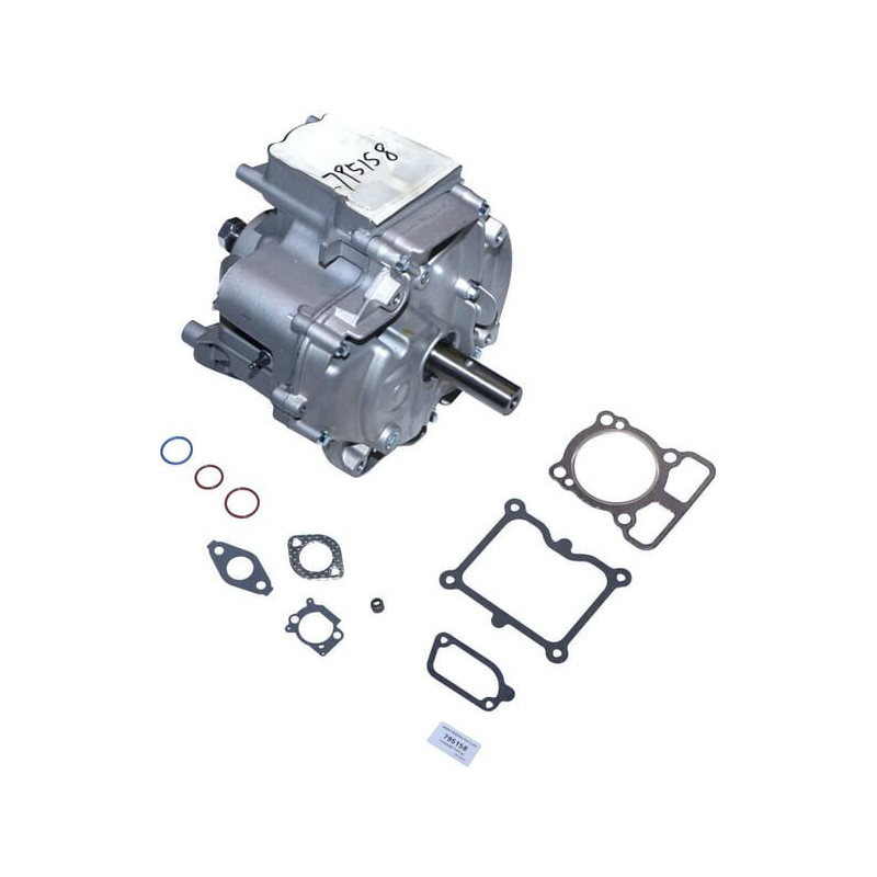 Shortblock 1008 DOV Briggs en Stratton - 795158 Shortblock 1008 DOV Briggs en Stratton - 795158