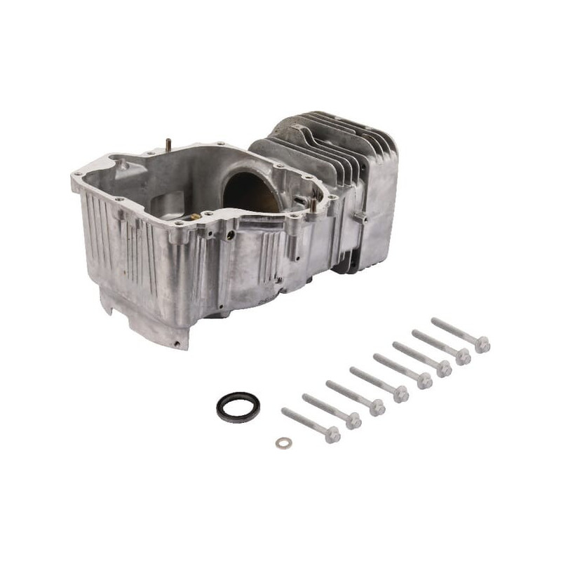 Briggs- und Stratton-Zylinder – 796010