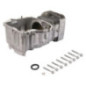 Briggs- und Stratton-Zylinder – 796010