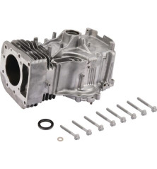 Briggs- und Stratton-Zylinder – 796010 2