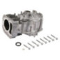 Briggs- und Stratton-Zylinder – 796010