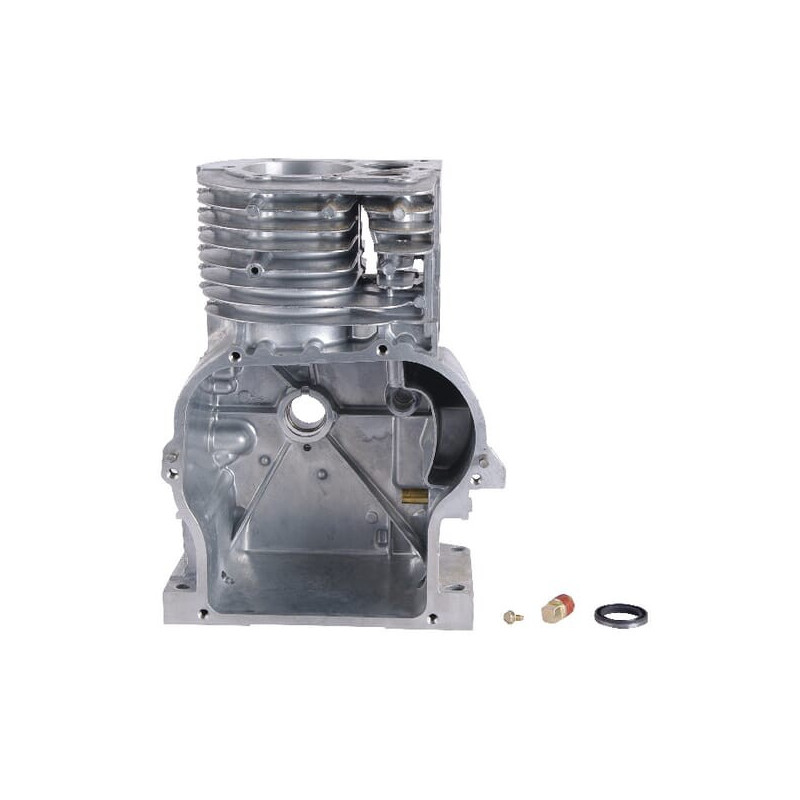 Zylinder Briggs und Stratton - 497144
