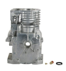 Briggs- und Stratton-Zylinder – 497144 2
