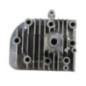 Testata Briggs e Stratton - 845713