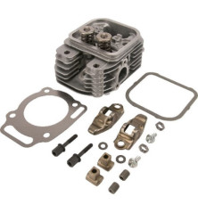 Culasse Briggs et Stratton - 809201