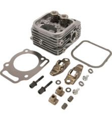 Briggs and Stratton cylinder head - 809201 2