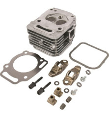 Testata motore Briggs e Stratton - 809201 3