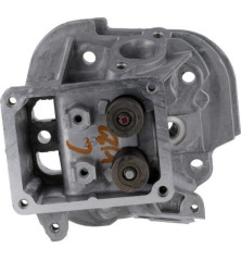 Testata motore Briggs e Stratton - 799859 2