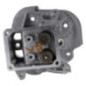 Testata Briggs e Stratton - 799859