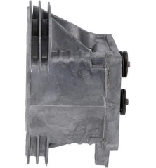 Testata motore Briggs e Stratton - 799859 4