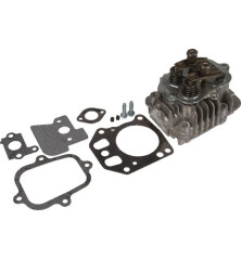 Testata Briggs e Stratton - 799072