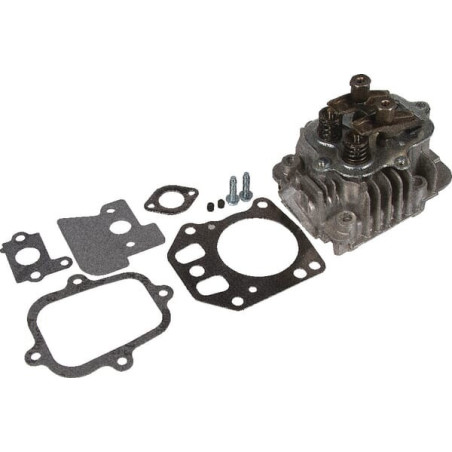 Testata Briggs e Stratton - 799072