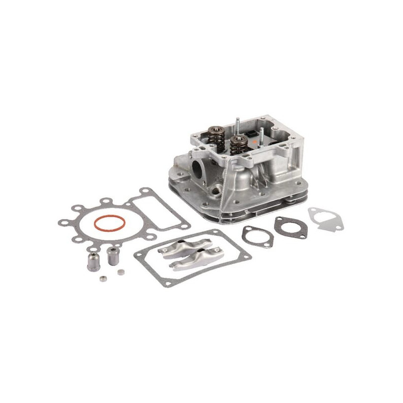 Testata Briggs e Stratton - 796183