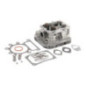 Testata Briggs e Stratton - 796183