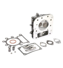 Cabeçote Briggs e Stratton - 796183 2