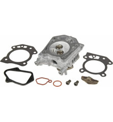 Zylinderkopf von Briggs und Stratton – 597561
