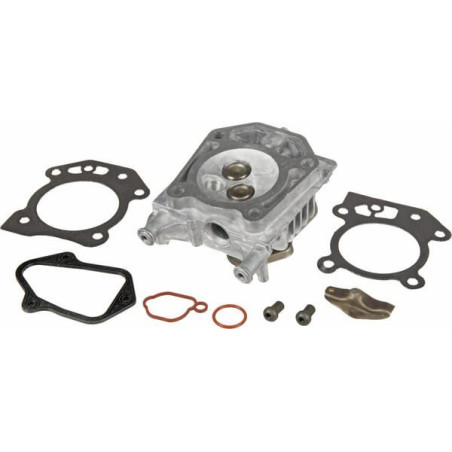 Zylinderkopf von Briggs und Stratton – 597561