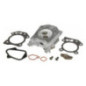Cabeça do Cilindro Briggs e Stratton - 597561