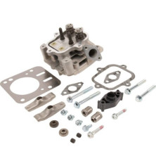 Testata motore Briggs e Stratton - 594514 2