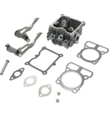 Zylinderkopf von Briggs und Stratton – 592536