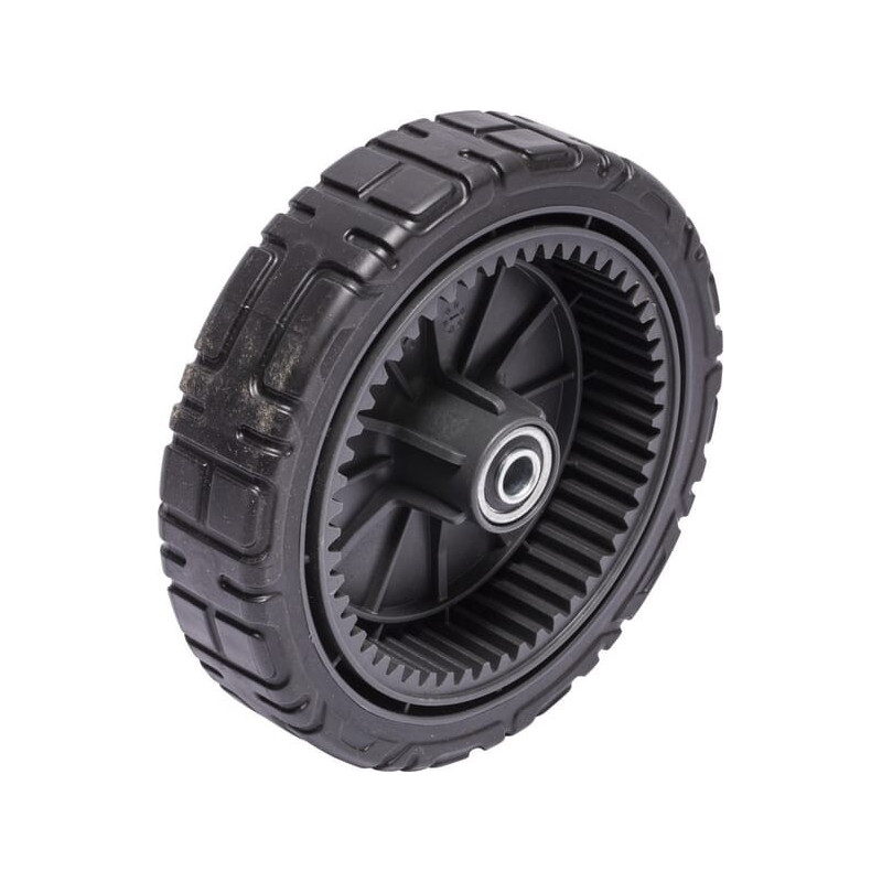 Ruota Briggs e Stratton - 7500542YP