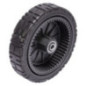 Roda Briggs e Stratton - 7500542YP