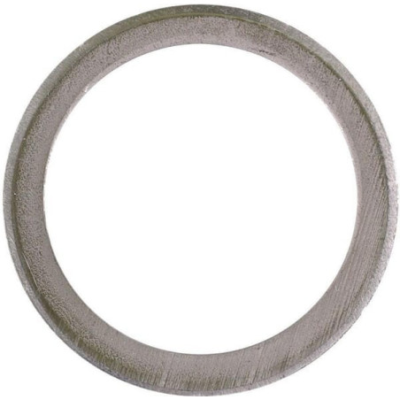 Bague Briggs et Stratton - 53737MA