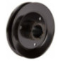 Polea Briggs y Stratton - 1732576SM