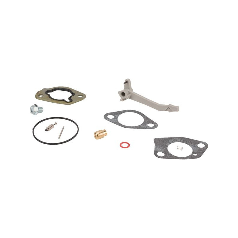 Kit revisione carburatore Briggs e Stratton - 590453