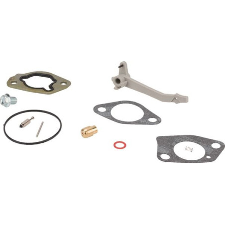 Kit révision carburateur Briggs et Stratton - 590453