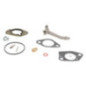 Kit revisione carburatore Briggs e Stratton - 590453