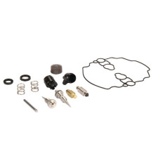 Kit di riparazione carburatore Briggs and Stratton - 842873