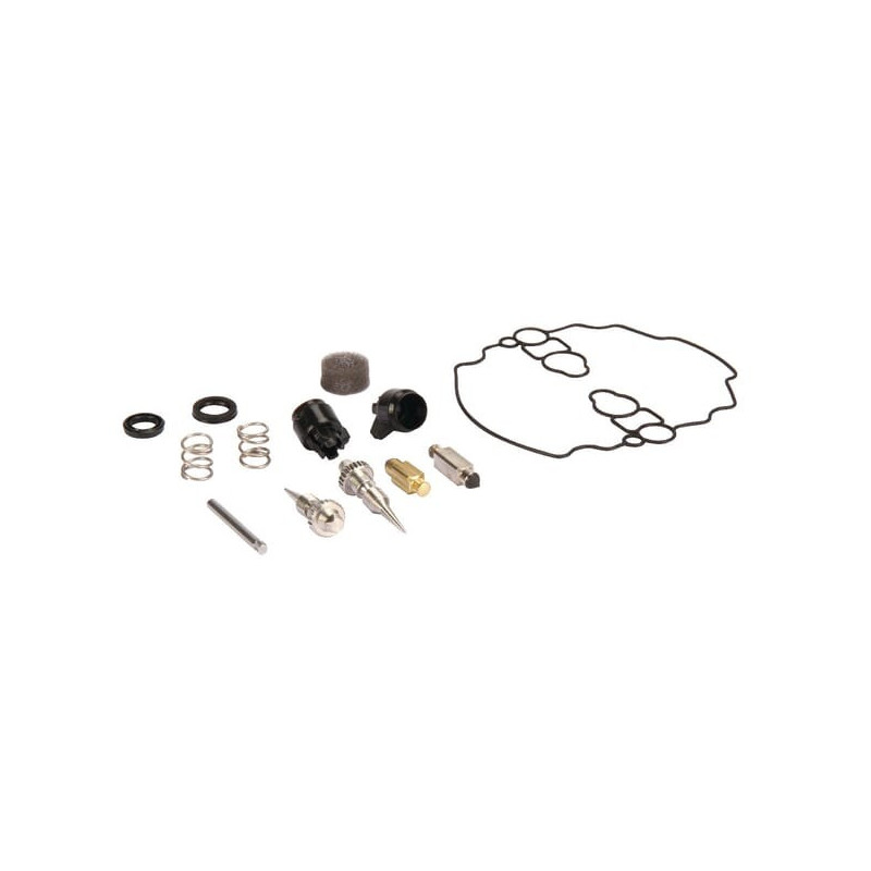 Kit riparazione carburatore Briggs et Stratton - 842873