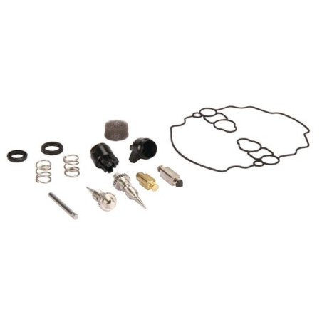 Kit di riparazione carburatore Briggs and Stratton - 842873