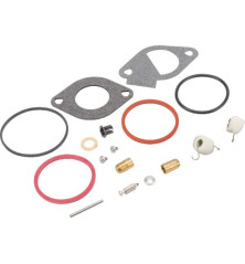 Kit de reparación de carburador Briggs and Stratton - 796185