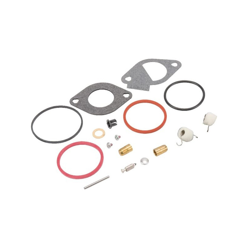 Kit de reparación de carburador Briggs and Stratton - 796185