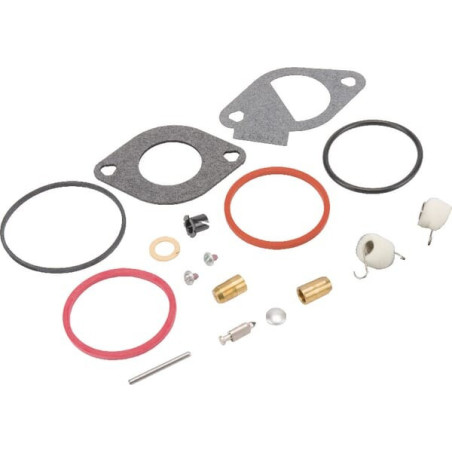 Kit de reparación de carburador Briggs and Stratton - 796185