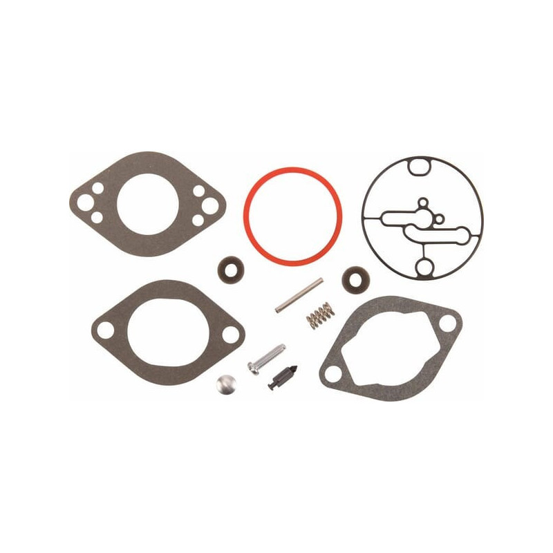 Kit remise en état carburateur Briggs et Stratton - 796137