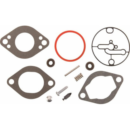 Kit remise en état carburateur Briggs et Stratton - 796137