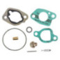Kit riparazione carburatore Briggs e Stratton - 592423
