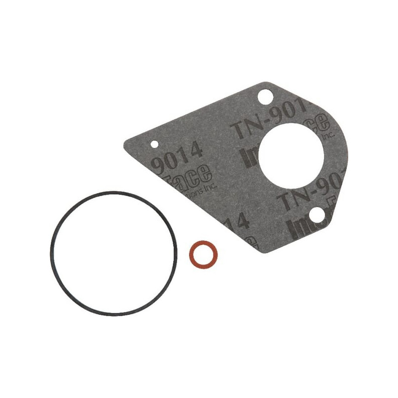Kit guarnizioni carburatore Briggs e Stratton - 694931
