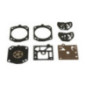 Kit de révision pour carburate Briggs et Stratton - 597138