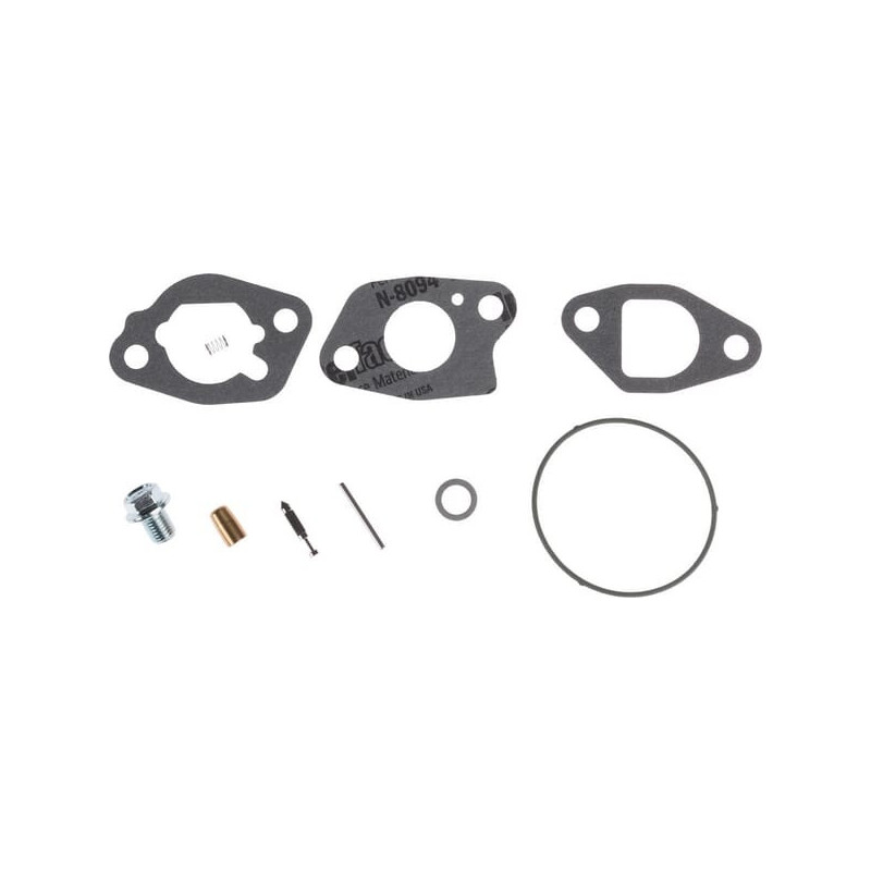 Kit di revisione del carburatore Briggs e Stratton - 591770