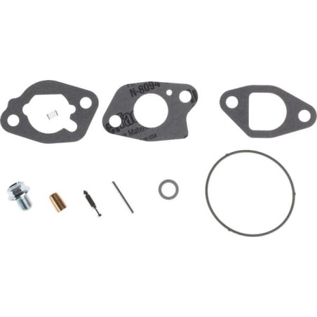 Kit de révision du carburateur Briggs et Stratton - 591770