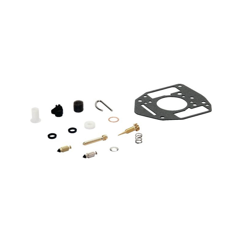 Kit de réparation carburateur Briggs et Stratton - 809021