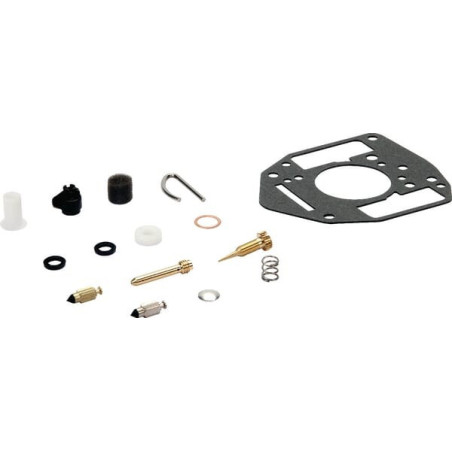 Kit de réparation carburateur Briggs et Stratton - 809021