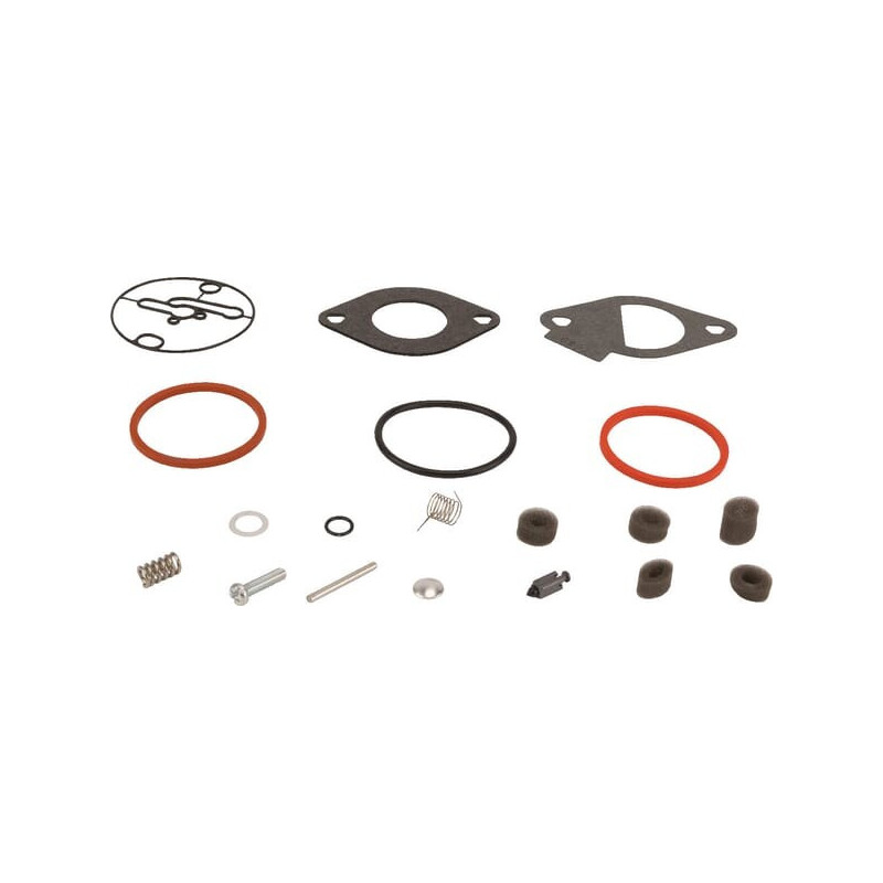 Kit de réparation carburateur Briggs et Stratton - 796184